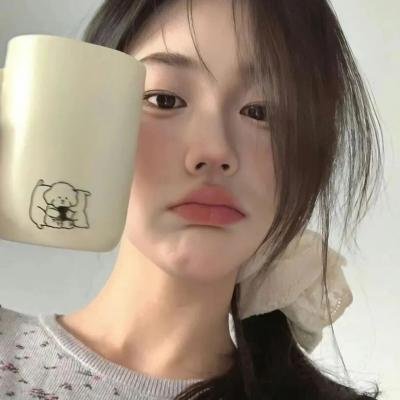 日心说